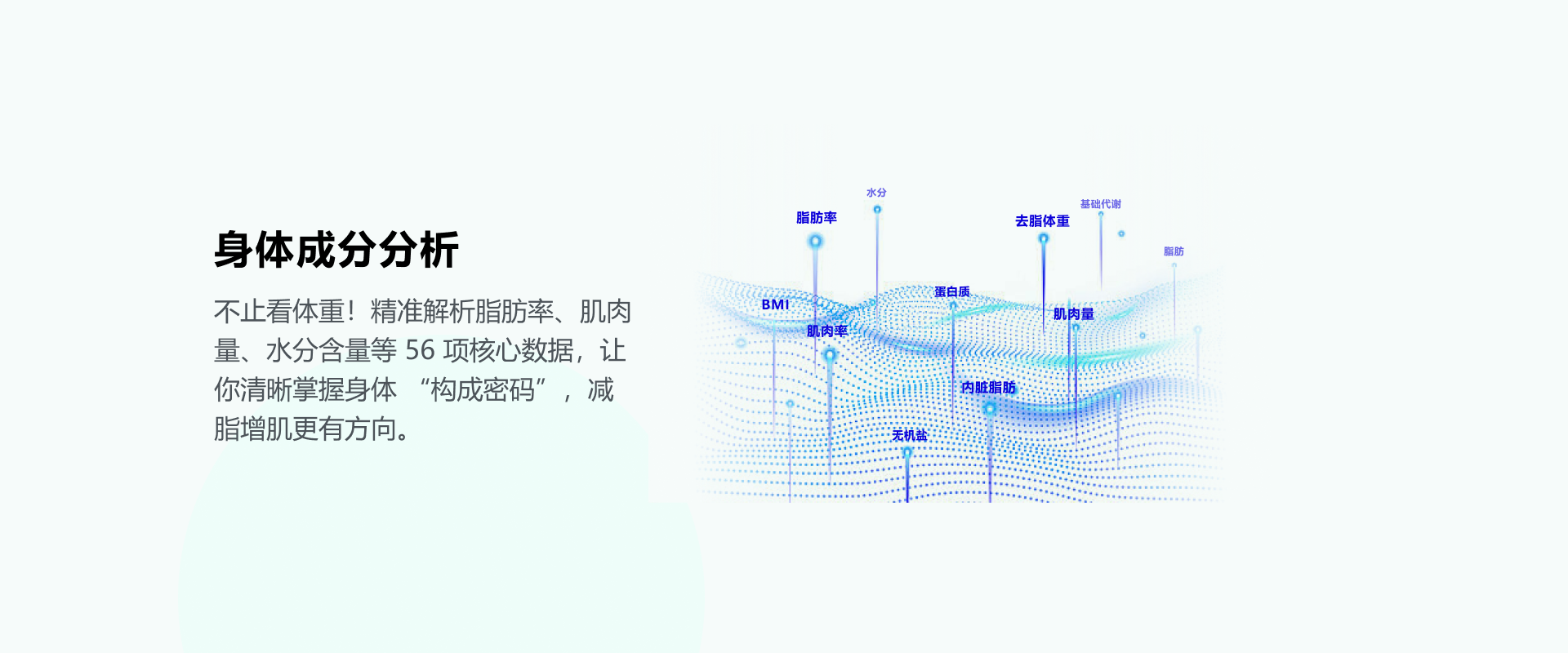 健康屏2-vahn.png
