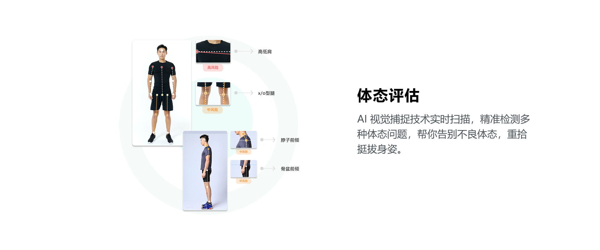 健康屏3-qyrn.png