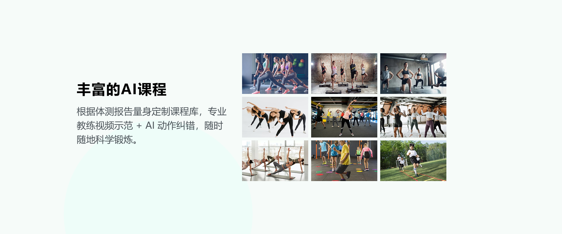 健康屏6-npcl.png